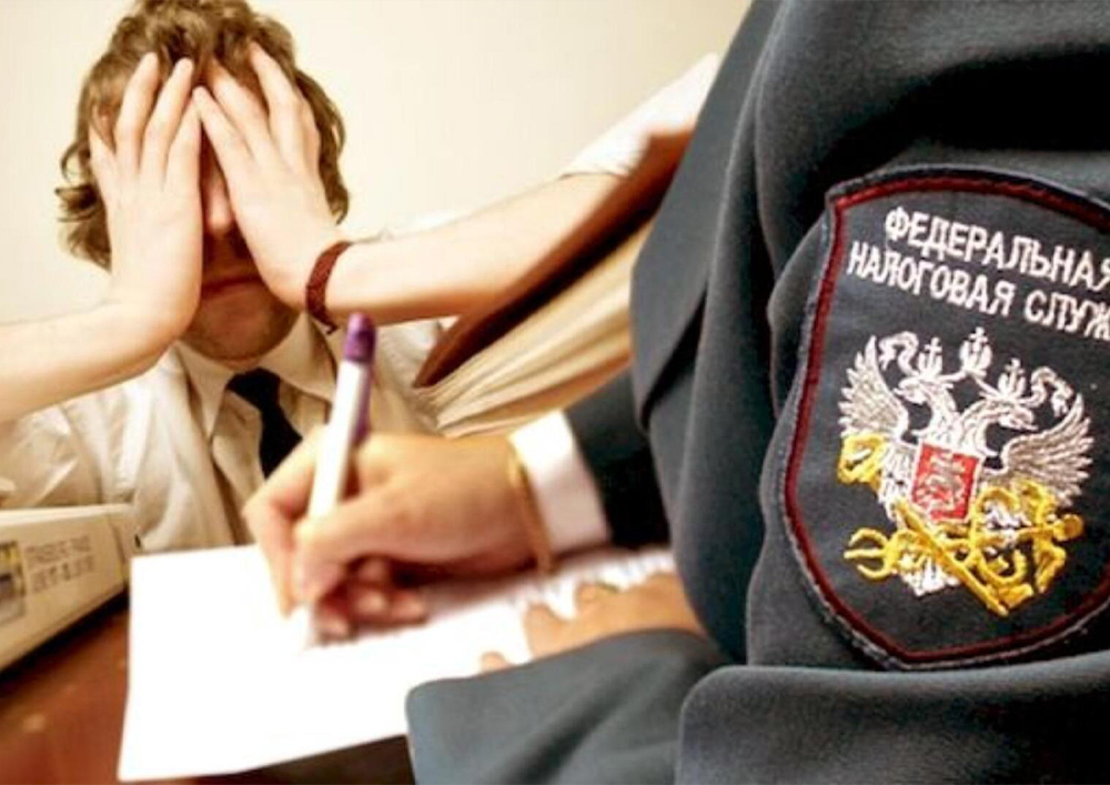 Обложка статьи о выездной проверке ФНС